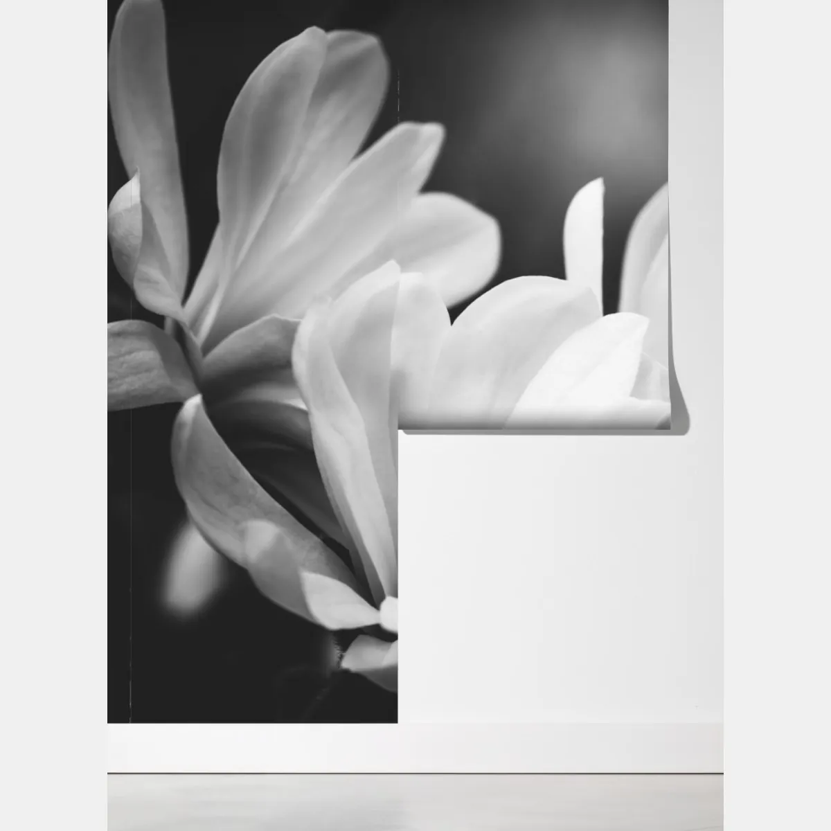 Fototapeta czarno-biała magnolia w zbliżeniu – Wallissimo® Fototapeta czarno-biała magnolia w zbliżeniu – Wallissimo®
