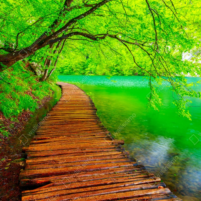 Fototapeta spokojny zielony pomost nad jeziorem – Wallissimo® Fototapeta spokojny zielony pomost nad jeziorem – Wallissimo®