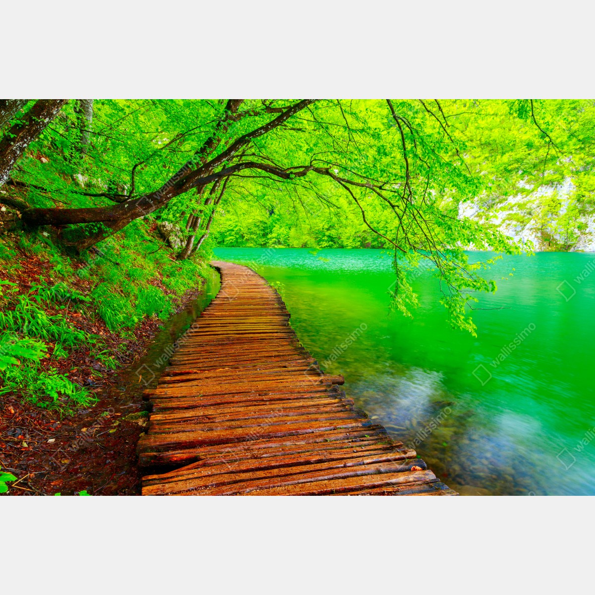 Fototapeta spokojny zielony pomost nad jeziorem – Wallissimo® Fototapeta spokojny zielony pomost nad jeziorem – Wallissimo®