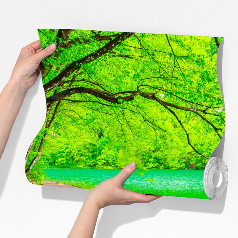 Fototapeta spokojny zielony pomost nad jeziorem – Wallissimo® Fototapeta spokojny zielony pomost nad jeziorem – Wallissimo®