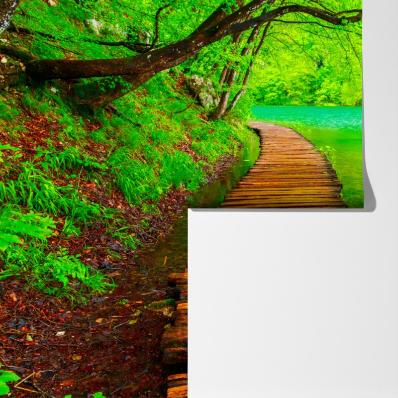 Fototapeta spokojny zielony pomost nad jeziorem – Wallissimo® Fototapeta spokojny zielony pomost nad jeziorem – Wallissimo®