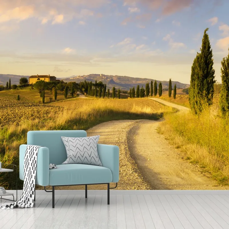 Fototapeta złota wiejska droga wśród cyprysów