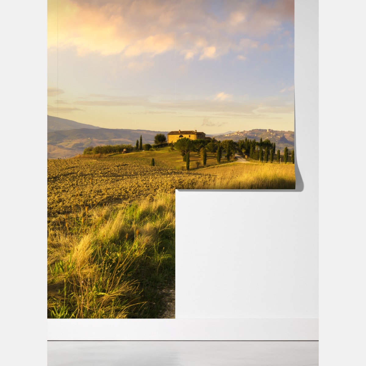 Fototapeta złota wiejska droga wśród cyprysów – Wallissimo® Fototapeta złota wiejska droga wśród cyprysów – Wallissimo®