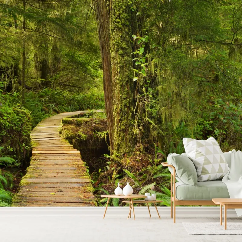 Fototapeta pomost w lesie deszczowym Pacific Rim