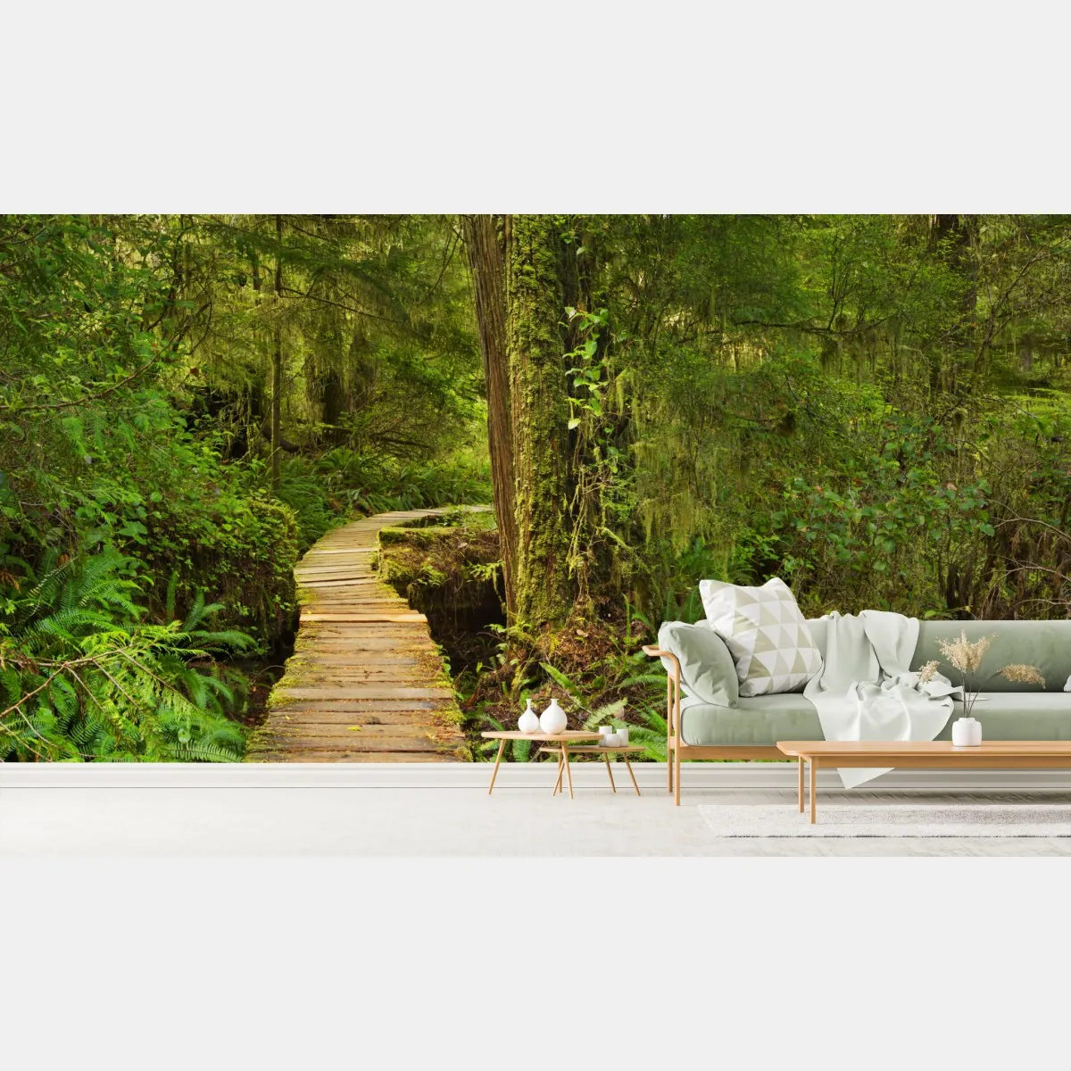 Fototapeta pomost w lesie deszczowym Pacific Rim – Wallissimo® Fototapeta pomost w lesie deszczowym Pacific Rim – Wallissimo®