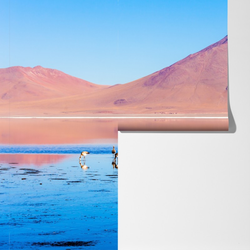Fototapeta flamingi nad Laguna Colorada, Boliwia – Wallissimo® Fototapeta flamingi nad Laguna Colorada, Boliwia – Wallissimo®