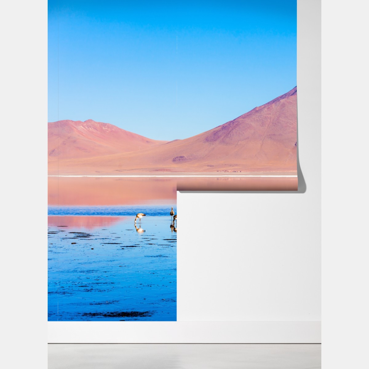 Fototapeta flamingi nad Laguna Colorada, Boliwia – Wallissimo® Fototapeta flamingi nad Laguna Colorada, Boliwia – Wallissimo®