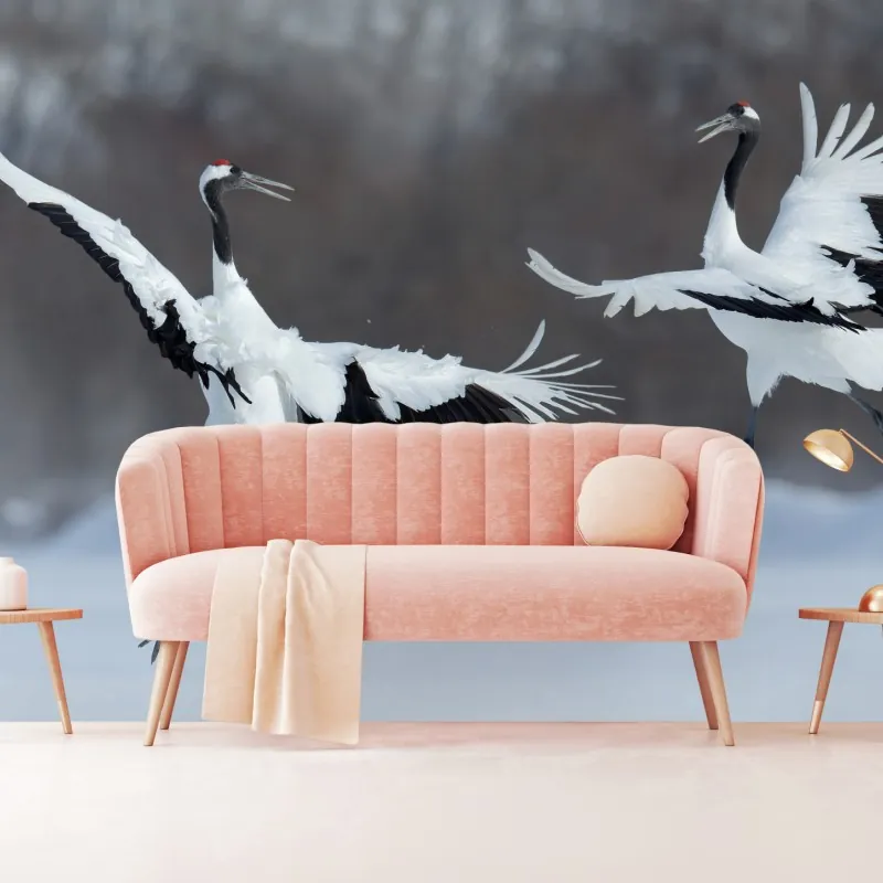 Fototapeta tańczące żurawie koroniaste na śniegu, Hokkaido