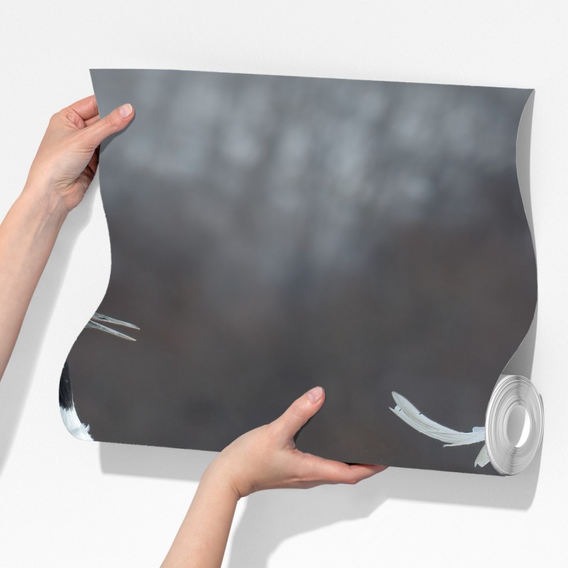 Fototapeta tańczące żurawie koroniaste na śniegu, Hokkaido – Wallissimo® Fototapeta tańczące żurawie koroniaste na śniegu, Hokkaido – Wallissimo®