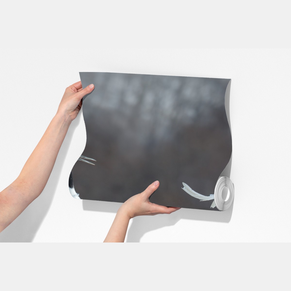 Fototapeta tańczące żurawie koroniaste na śniegu, Hokkaido – Wallissimo® Fototapeta tańczące żurawie koroniaste na śniegu, Hokkaido – Wallissimo®