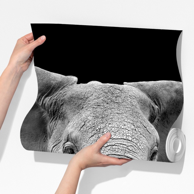 Fototapeta majestatyczny portret słonia czarno-biały – Wallissimo® Fototapeta majestatyczny portret słonia czarno-biały – Wallissimo®