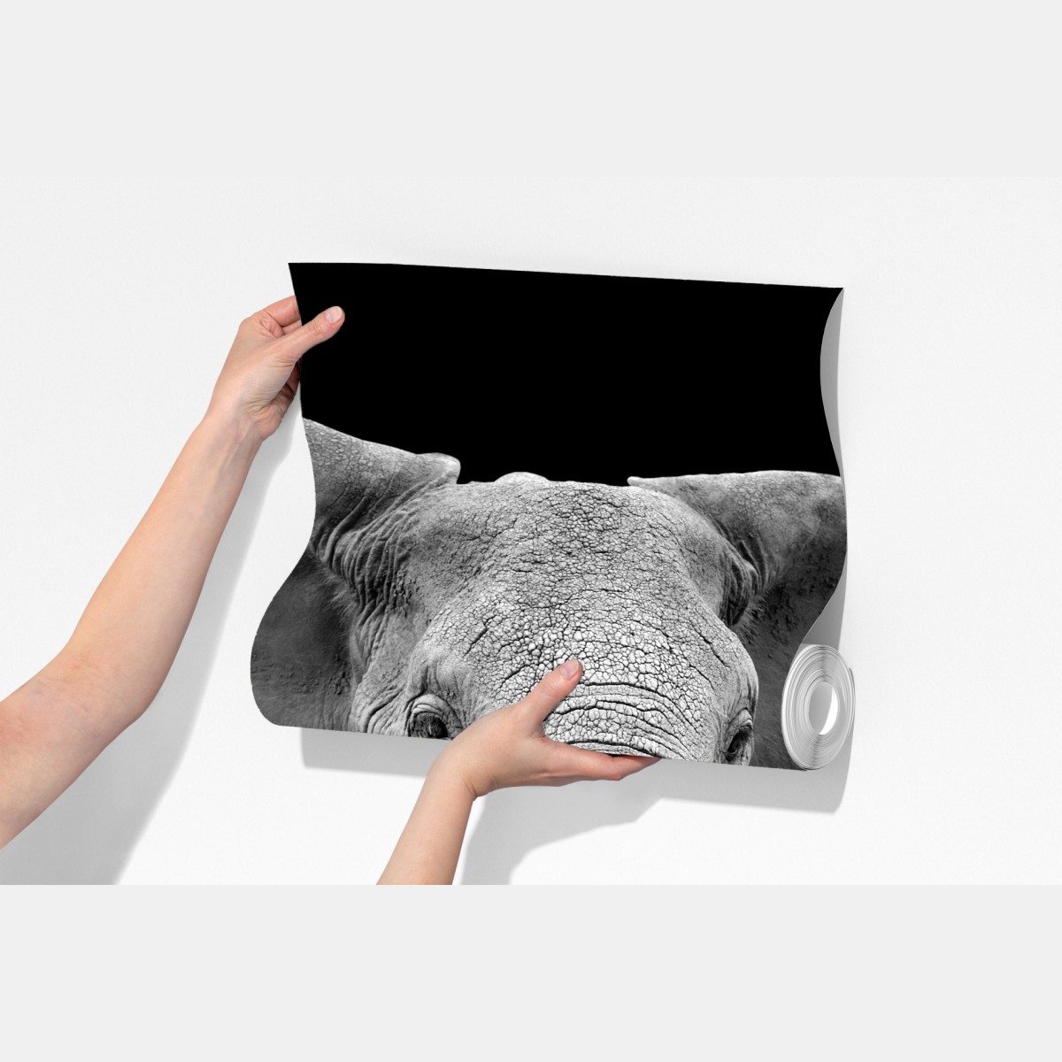 Fototapeta majestatyczny portret słonia czarno-biały – Wallissimo® Fototapeta majestatyczny portret słonia czarno-biały – Wallissimo®