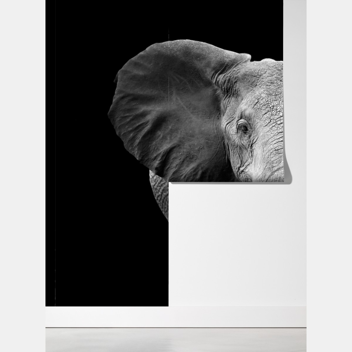 Fototapeta majestatyczny portret słonia czarno-biały – Wallissimo® Fototapeta majestatyczny portret słonia czarno-biały – Wallissimo®