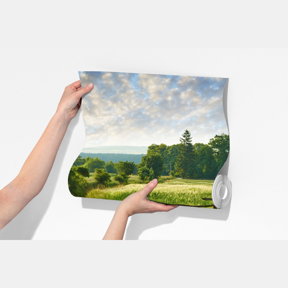 Fototapeta słoneczna wiejska ścieżka przez zielone łąki – Wallissimo® Fototapeta słoneczna wiejska ścieżka przez zielone łąki – Wallissimo®