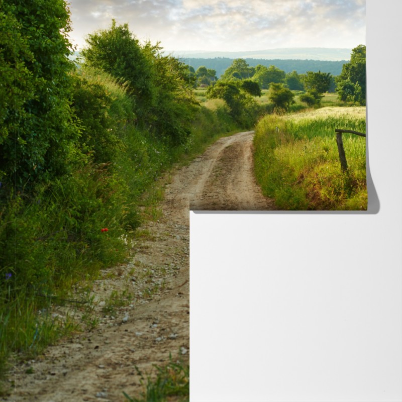 Fototapeta słoneczna wiejska ścieżka przez zielone łąki – Wallissimo® Fototapeta słoneczna wiejska ścieżka przez zielone łąki – Wallissimo®