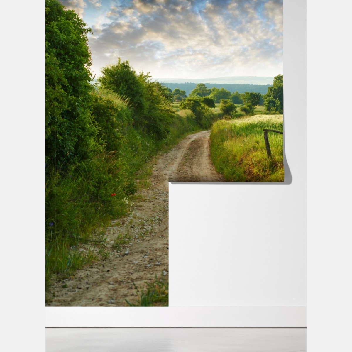 Fototapeta słoneczna wiejska ścieżka przez zielone łąki – Wallissimo® Fototapeta słoneczna wiejska ścieżka przez zielone łąki – Wallissimo®