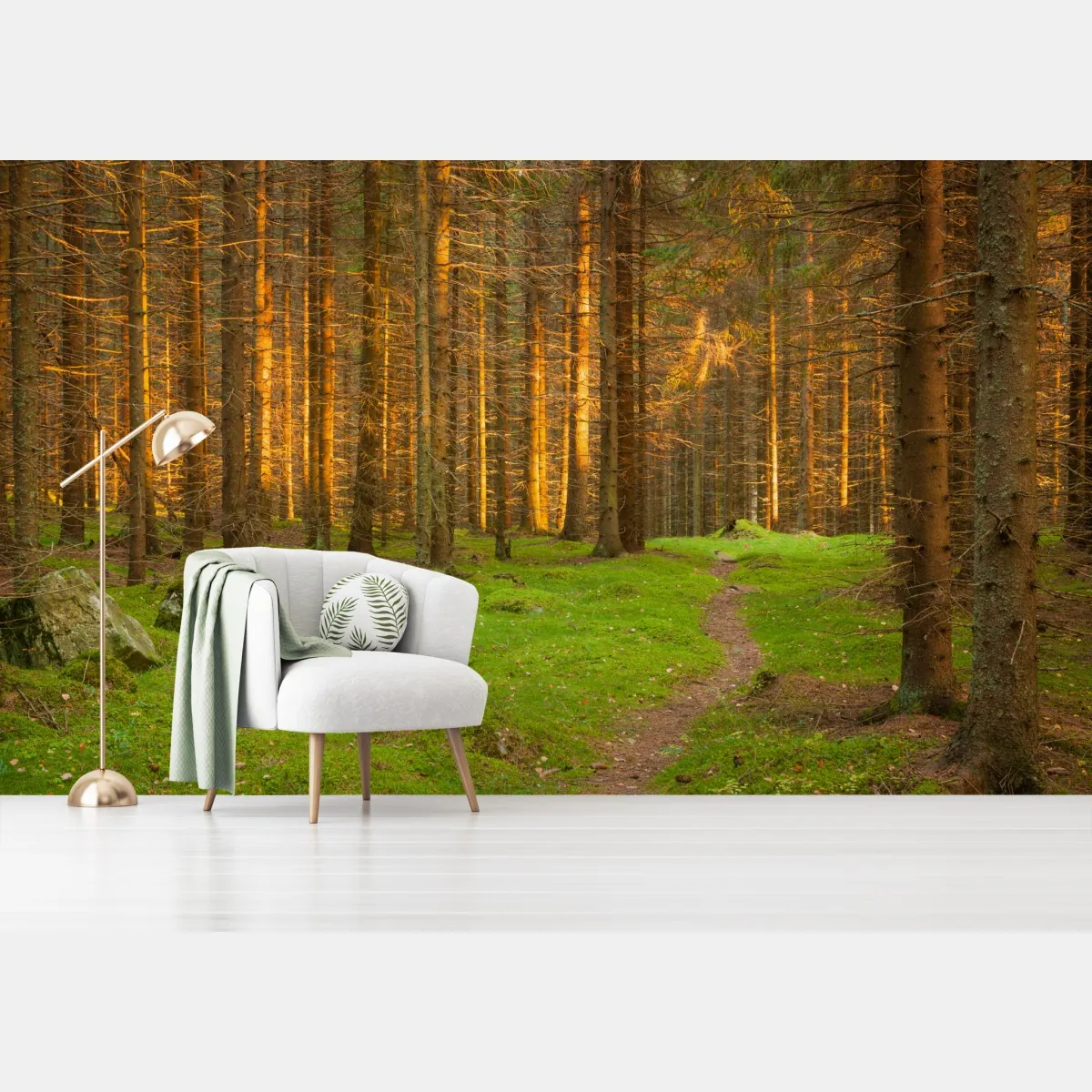 Fototapeta złote światło lesie sosnowym porośniętym mchem – Wallissimo® Fototapeta złote światło lesie sosnowym porośniętym mchem – Wallissimo®