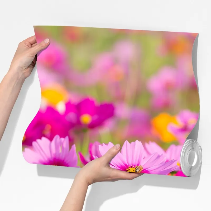 Fototapeta różowa łąka kosmosów w rozkwicie – Wallissimo® Fototapeta różowa łąka kosmosów w rozkwicie – Wallissimo®