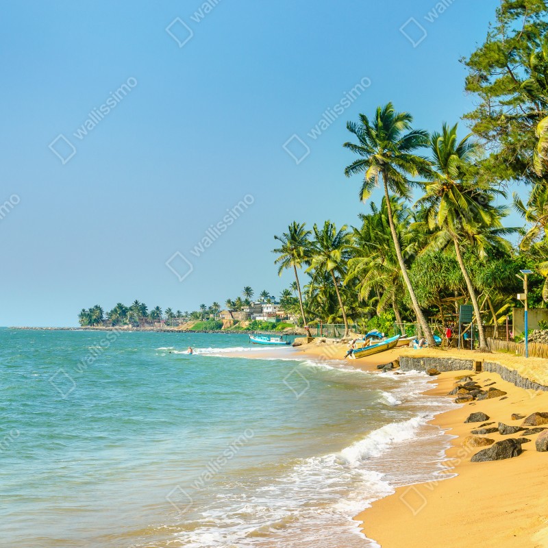 Fototapeta tropikalna plaża z palmami – Wallissimo® Fototapeta tropikalna plaża z palmami – Wallissimo®