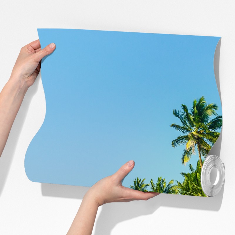 Fototapeta tropikalna plaża z palmami – Wallissimo® Fototapeta tropikalna plaża z palmami – Wallissimo®