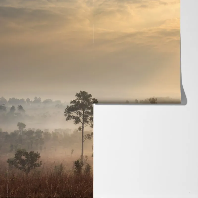 Fototapeta Tajlandia sawanna o wschodzie słońca – Wallissimo® Fototapeta Tajlandia sawanna o wschodzie słońca – Wallissimo®