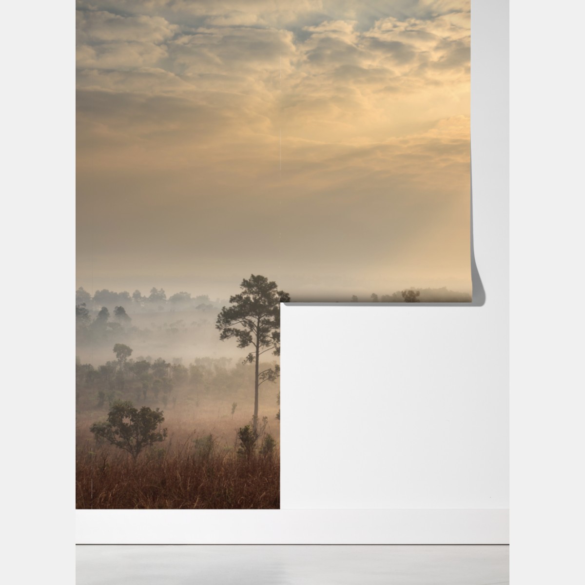 Fototapeta Tajlandia sawanna o wschodzie słońca – Wallissimo® Fototapeta Tajlandia sawanna o wschodzie słońca – Wallissimo®