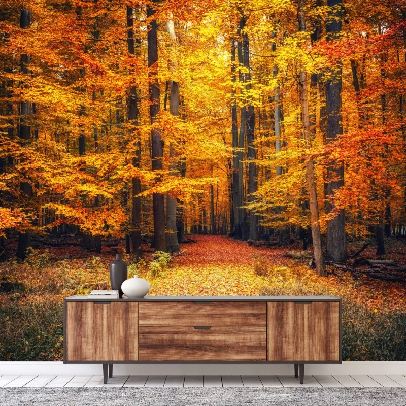 Fototapeta jesienny las ze złotą ścieżką