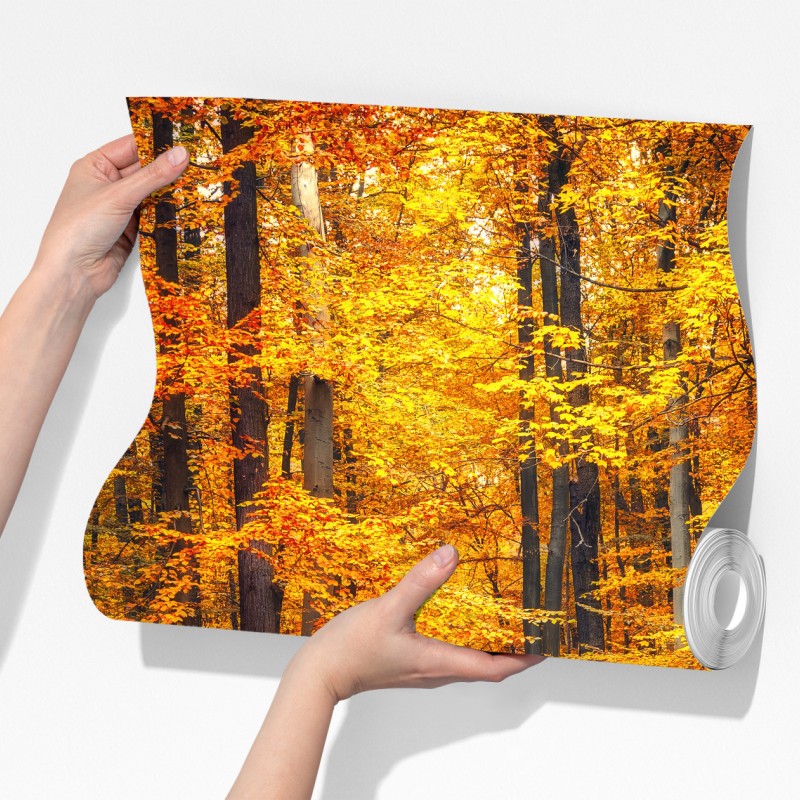 Fototapeta jesienny las ze złotą ścieżką – Wallissimo® Fototapeta jesienny las ze złotą ścieżką – Wallissimo®