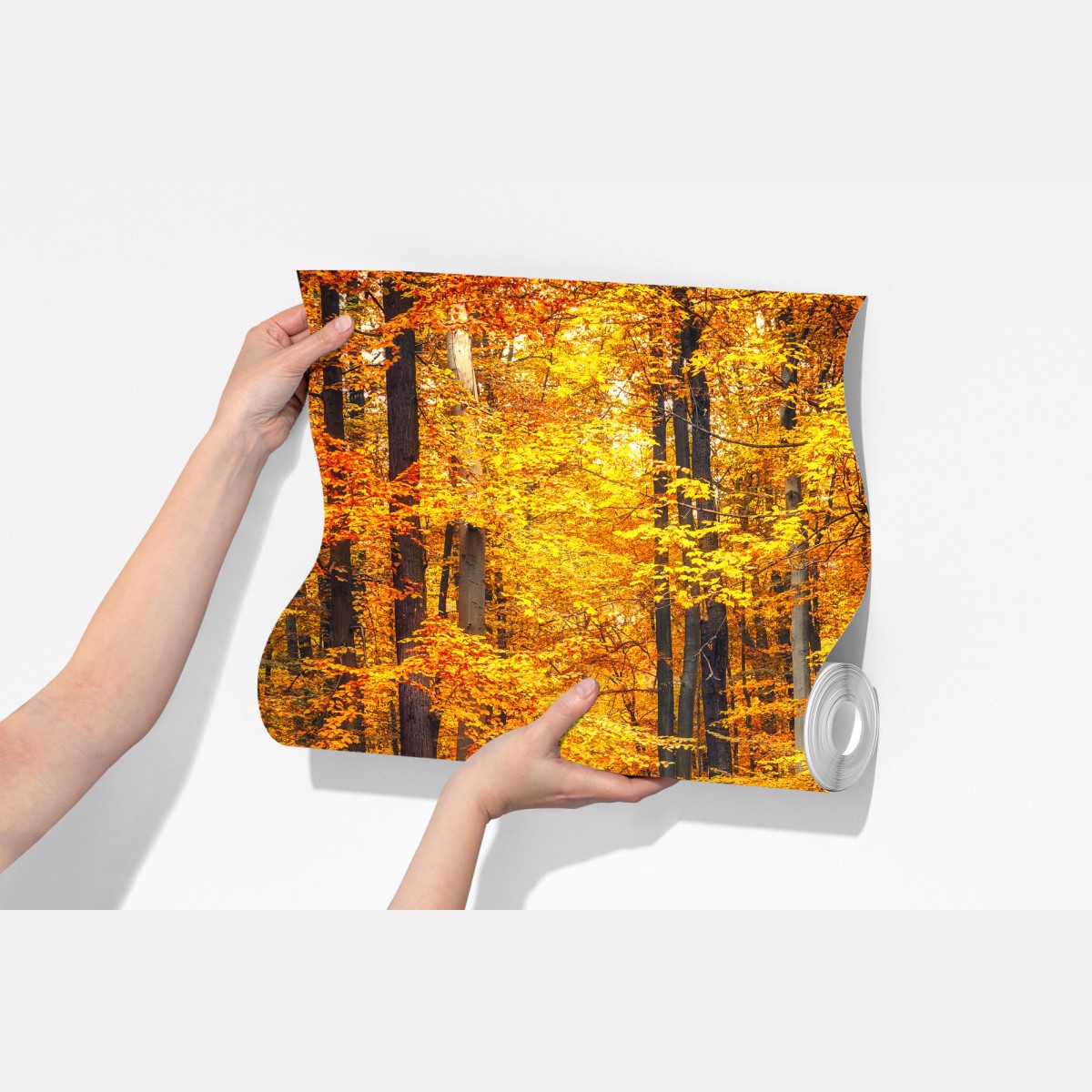 Fototapeta jesienny las ze złotą ścieżką – Wallissimo® Fototapeta jesienny las ze złotą ścieżką – Wallissimo®