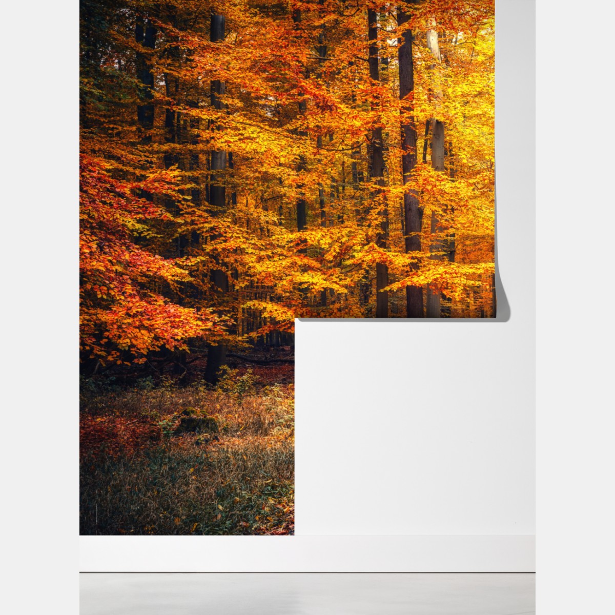 Fototapeta jesienny las ze złotą ścieżką – Wallissimo® Fototapeta jesienny las ze złotą ścieżką – Wallissimo®