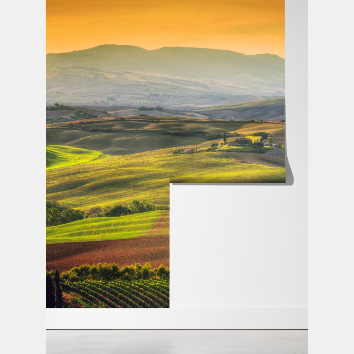 Fototapeta Toskania sielankowe wzgórza o zachodzie słońca – Wallissimo® Fototapeta Toskania sielankowe wzgórza o zachodzie słońca – Wallissimo®