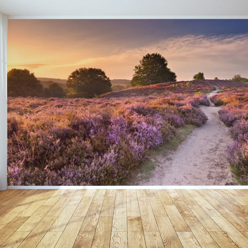 Fototapeta Posbank o świcie nad wrzosowiskiem