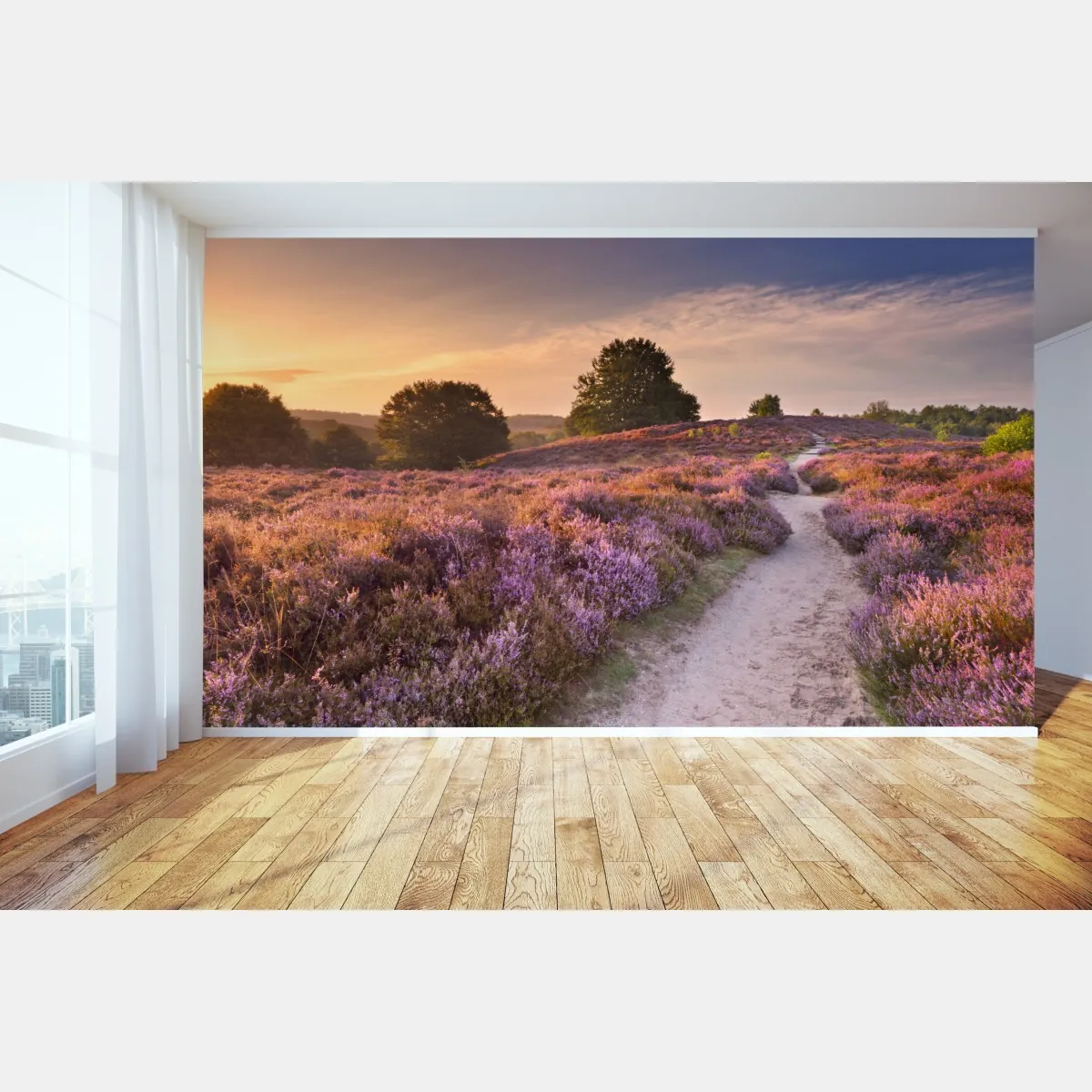 Fototapeta Posbank o świcie nad wrzosowiskiem – Wallissimo® Fototapeta Posbank o świcie nad wrzosowiskiem – Wallissimo®