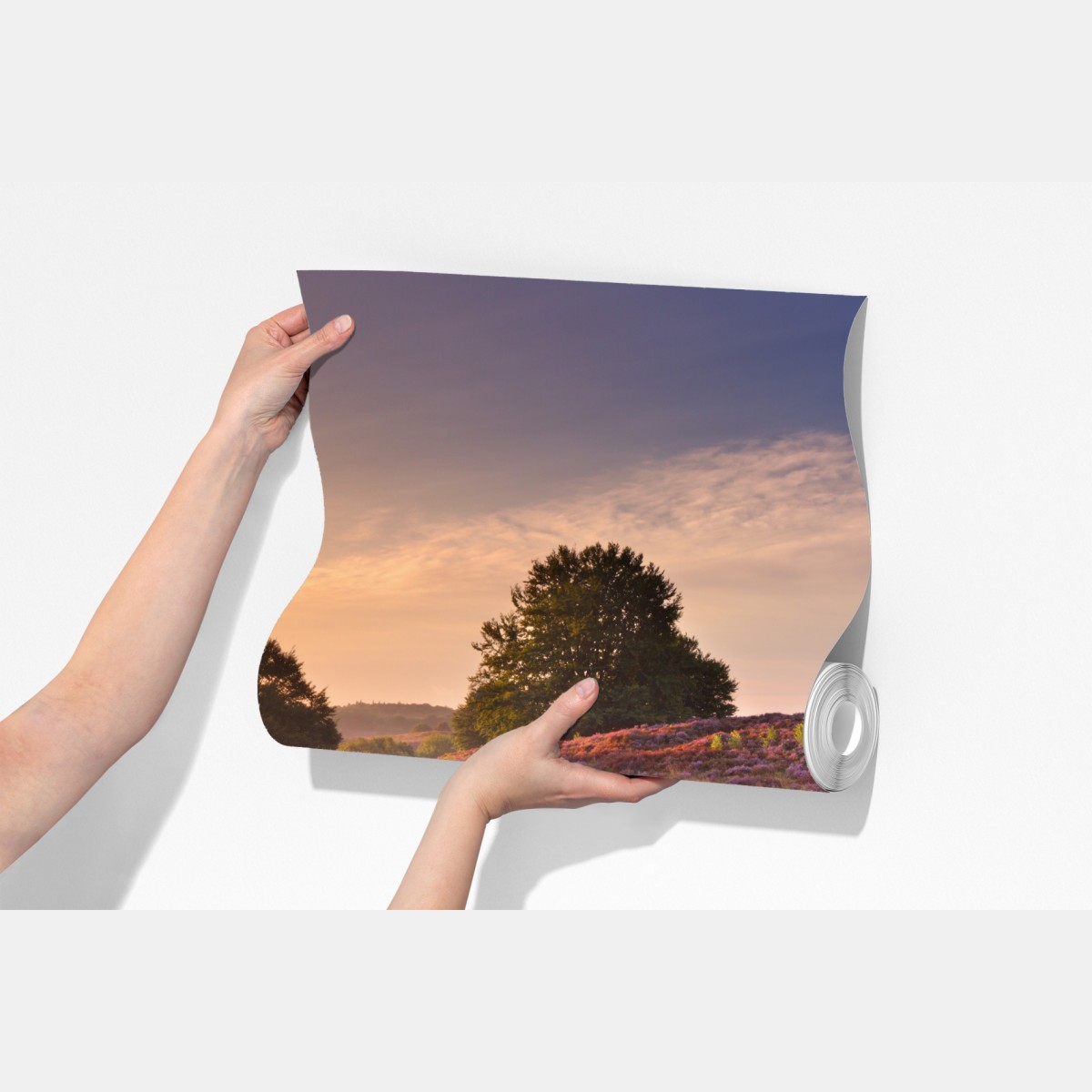 Fototapeta Posbank o świcie nad wrzosowiskiem – Wallissimo® Fototapeta Posbank o świcie nad wrzosowiskiem – Wallissimo®