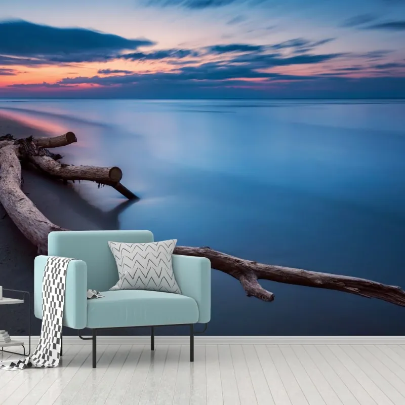 Fototapeta dryfujące drewno o zmierzchu na spokojnej plaży