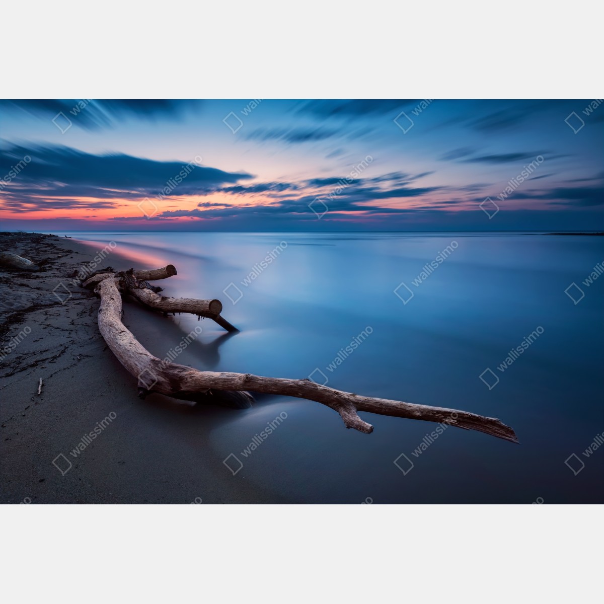 Fototapeta dryfujące drewno o zmierzchu na spokojnej plaży – Wallissimo® Fototapeta dryfujące drewno o zmierzchu na spokojnej plaży – Wallissimo®