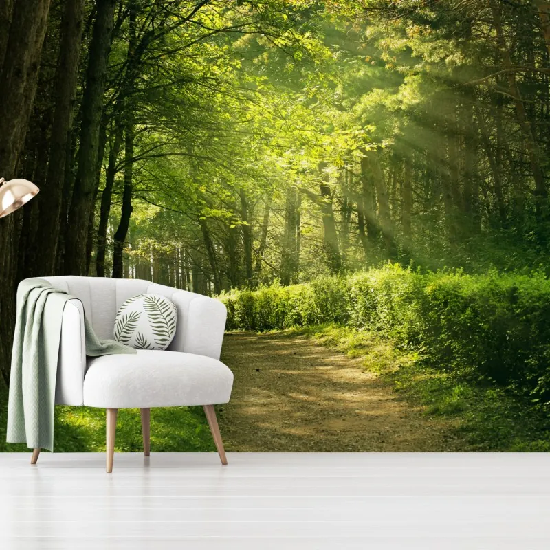 Fototapeta słoneczna leśna ścieżka w zieleni