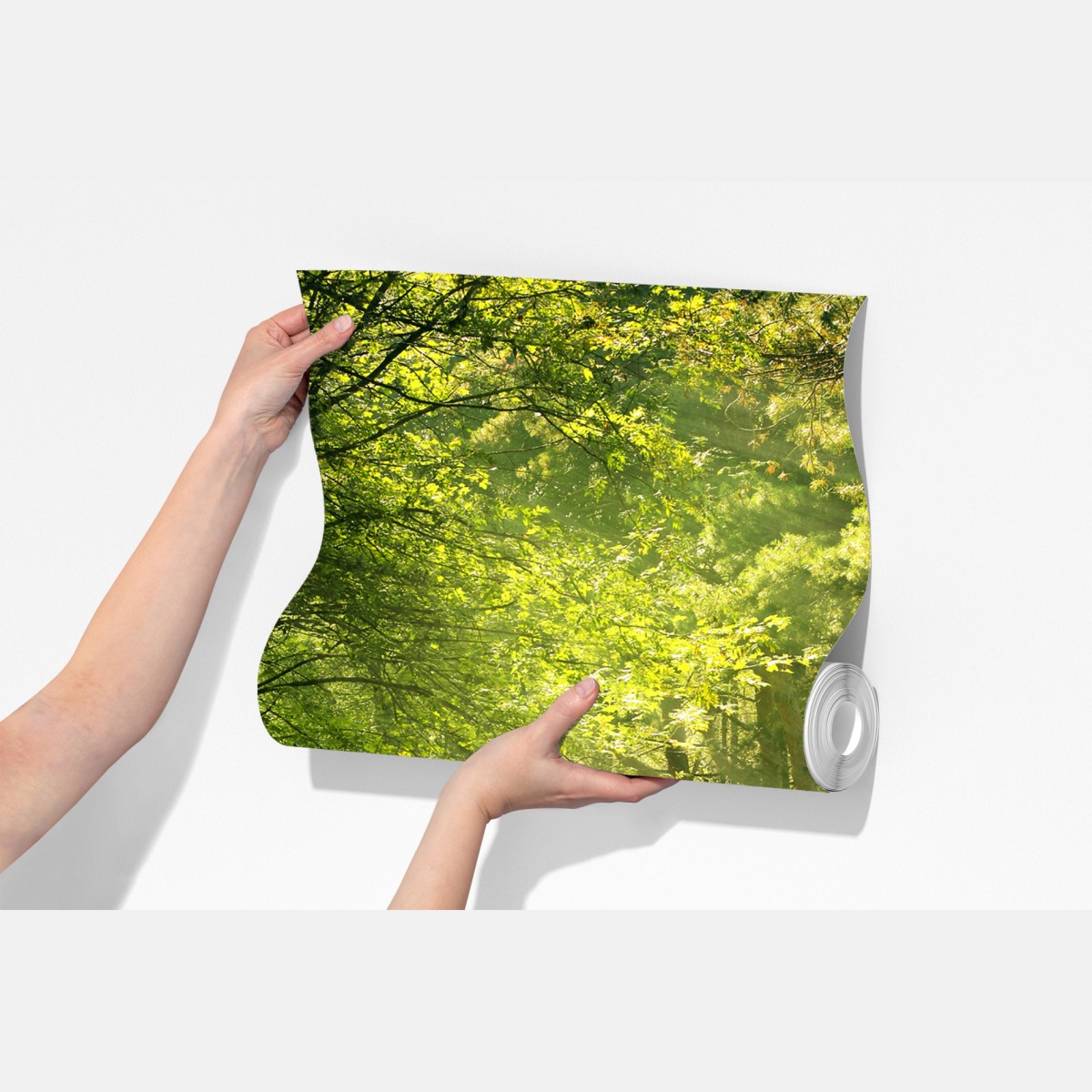 Fototapeta słoneczna leśna ścieżka w zieleni – Wallissimo® Fototapeta słoneczna leśna ścieżka w zieleni – Wallissimo®