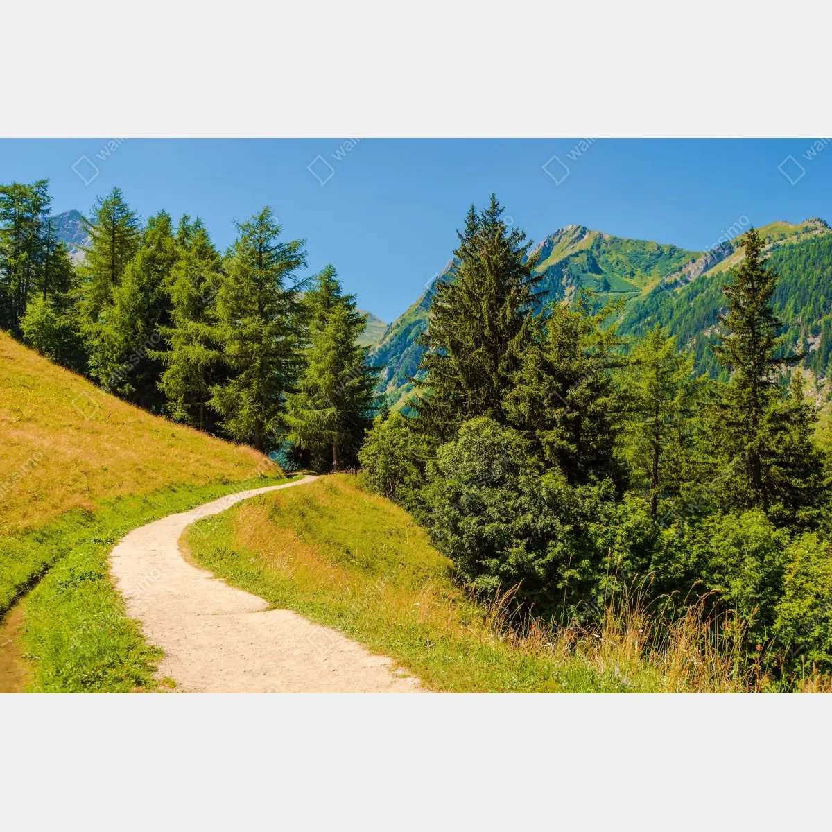 Fototapeta szlak górski w Szwajcarii latem – Wallissimo® Fototapeta szlak górski w Szwajcarii latem – Wallissimo®