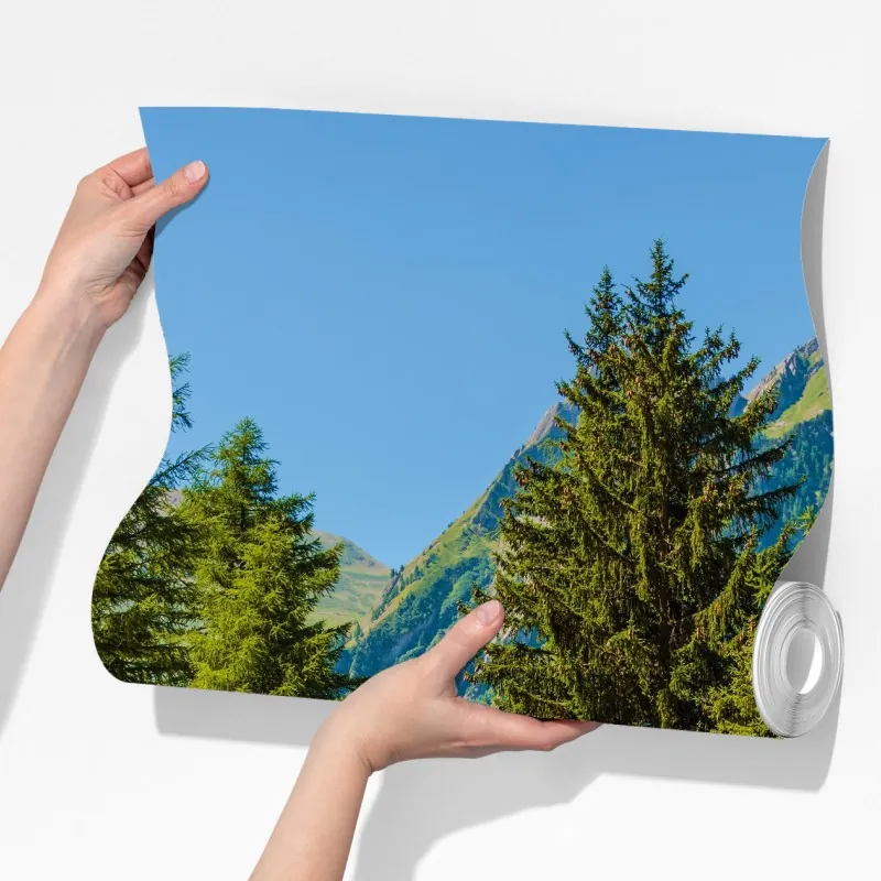 Fototapeta szlak górski w Szwajcarii latem – Wallissimo® Fototapeta szlak górski w Szwajcarii latem – Wallissimo®