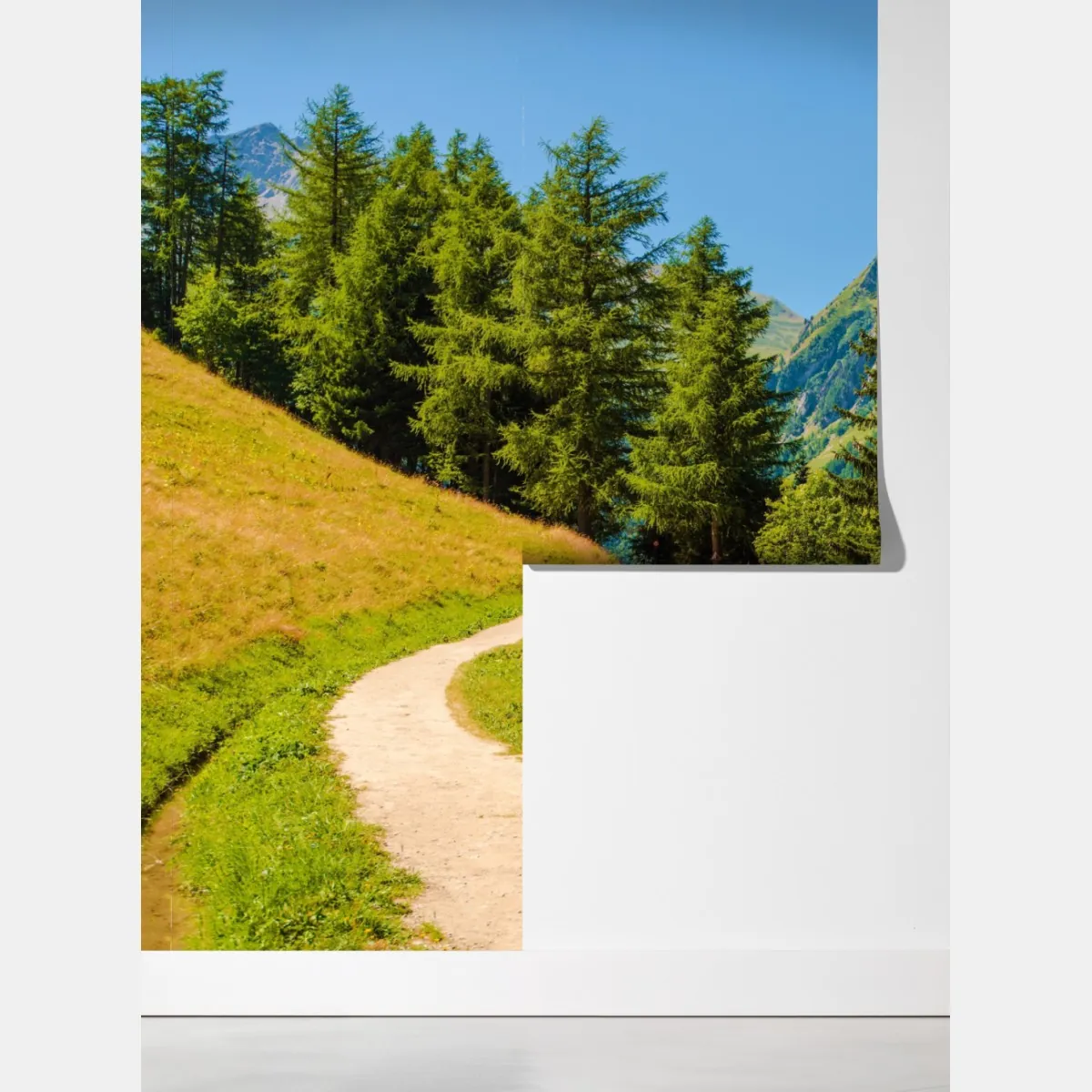 Fototapeta szlak górski w Szwajcarii latem – Wallissimo® Fototapeta szlak górski w Szwajcarii latem – Wallissimo®