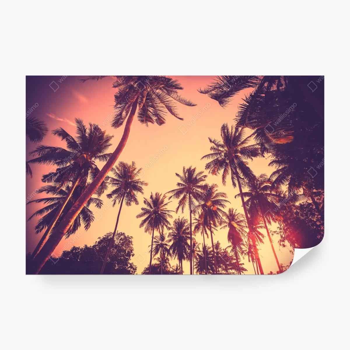 Fototapeta vintage tropikalny zachód słońca z palmami – Wallissimo® Fototapeta vintage tropikalny zachód słońca z palmami – Wallissimo®
