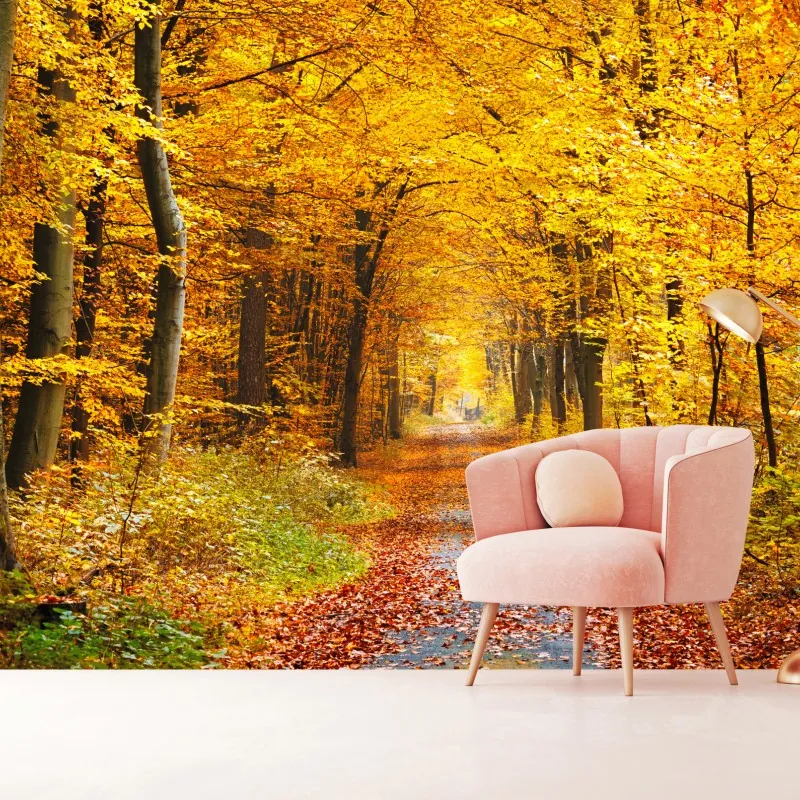 Fototapeta złota ścieżka w jesiennym lesie