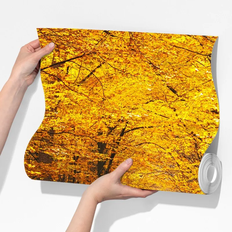 Fototapeta złota ścieżka w jesiennym lesie – Wallissimo® Fototapeta złota ścieżka w jesiennym lesie – Wallissimo®