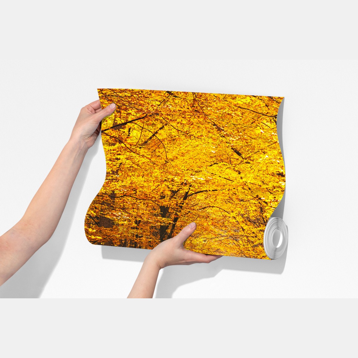 Fototapeta złota ścieżka w jesiennym lesie – Wallissimo® Fototapeta złota ścieżka w jesiennym lesie – Wallissimo®