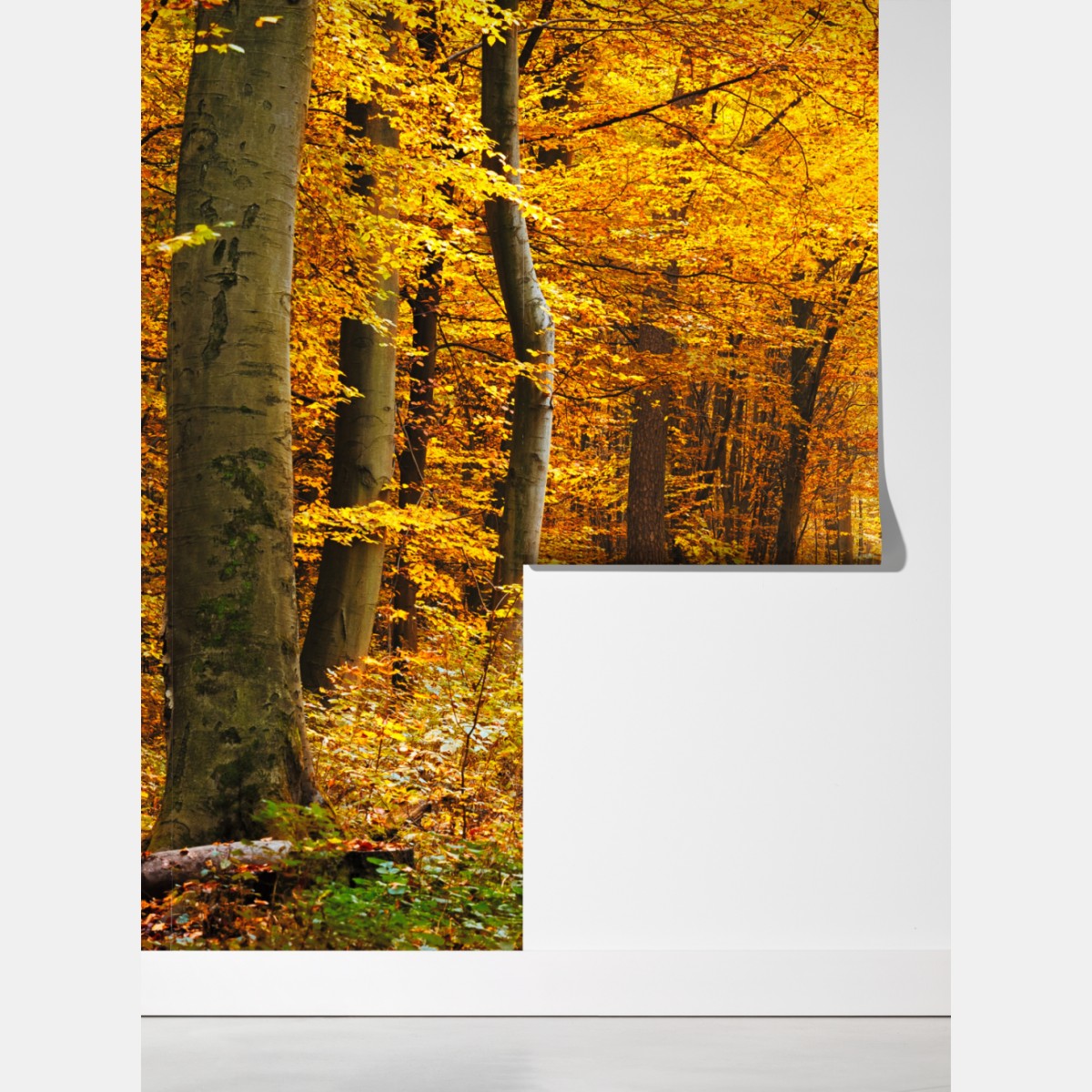 Fototapeta złota ścieżka w jesiennym lesie – Wallissimo® Fototapeta złota ścieżka w jesiennym lesie – Wallissimo®