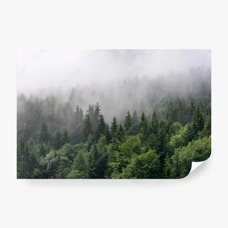 Fototapeta mglisty las iglasty panorama