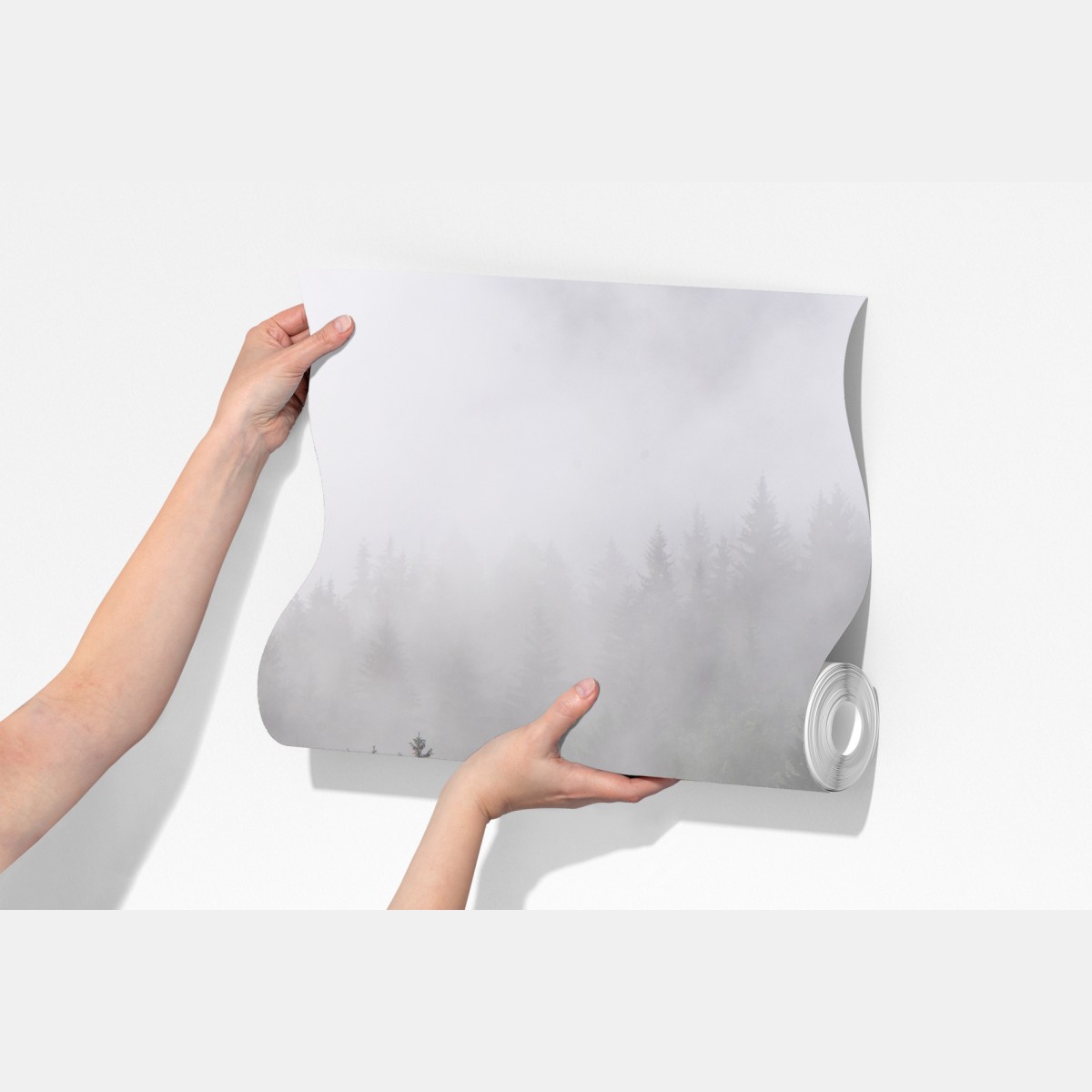 Fototapeta mglisty las iglasty panorama – Wallissimo® Fototapeta mglisty las iglasty panorama – Wallissimo®