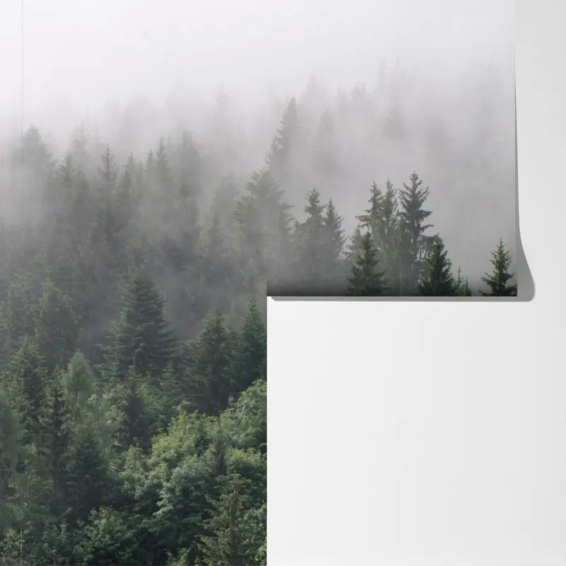 Fototapeta mglisty las iglasty panorama – Wallissimo® Fototapeta mglisty las iglasty panorama – Wallissimo®