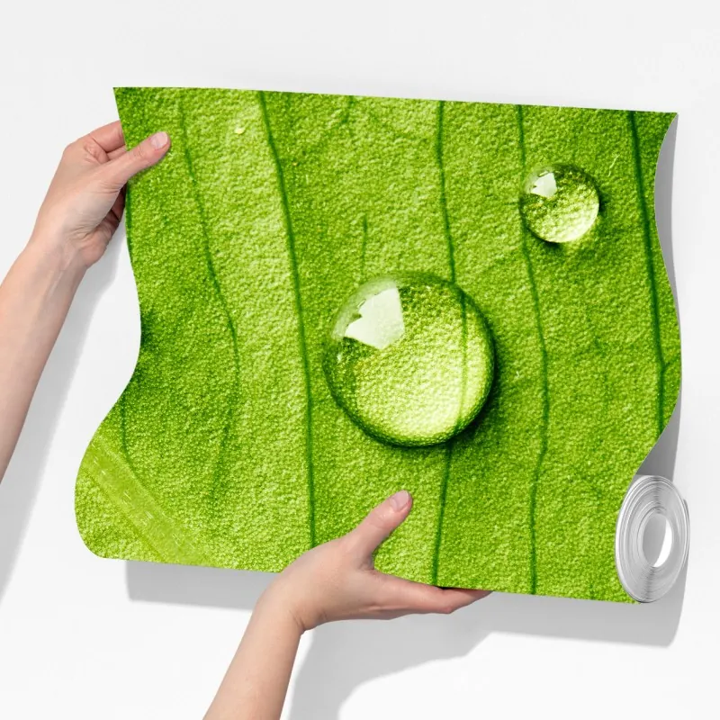 Fototapeta świeży zielony liść z kroplami wody – Wallissimo® Fototapeta świeży zielony liść z kroplami wody – Wallissimo®